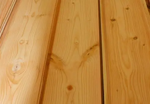 Douglas Fur wood Texture
