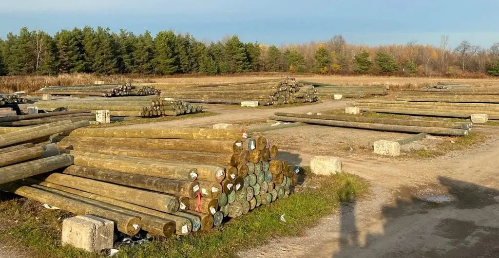 Utility poles in yard