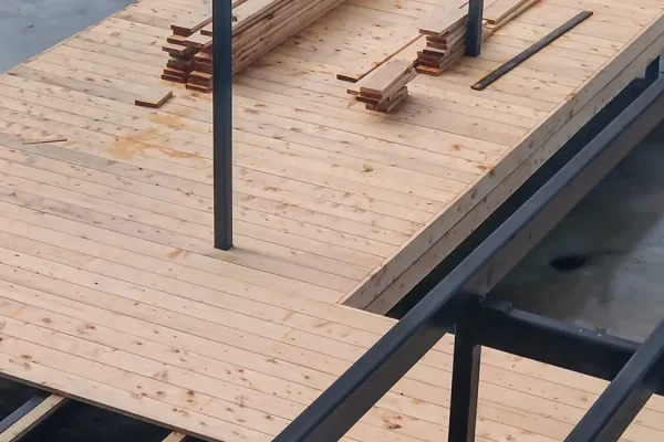 alaskan-yellow-cedar-alt2