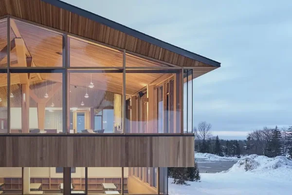 western red cedar
